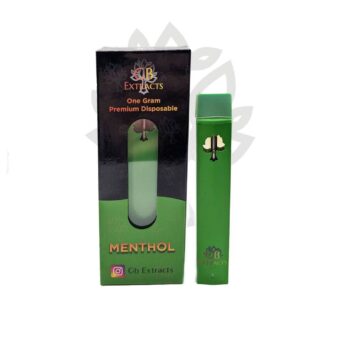 Premium Menthol Rechargeable Disposable 1 Gram